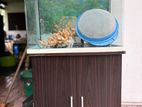 Imported Fish Tank
