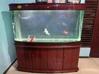 Fish Tank with Fishes