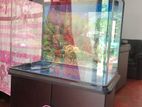 Imported Fish Tank