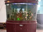 Fish Tank
