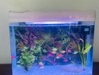 Imported Fish Tank with Filter