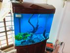 Fish Tank with Accessories