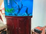 Imported Fish Tank With Accessories Sale At Temple Rd Maharagama