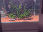 Fish Tank with Cabinet