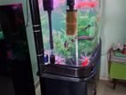 Imported Fish Tank with Fishes and Accessories