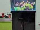 Imported Fish Tank with Full Set