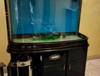 Imported Ornamental Fish Tank