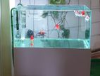 Imported Ultra Clear Aquarium