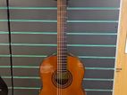 Yamaha Classical Guitar