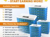 Incubator 360 eggs Automatic egg turning – saves time