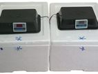 Incubator Eggs 60