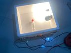 Incubator