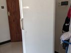 Indesit Refrigerator