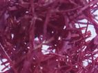 Indian Saffron 10g