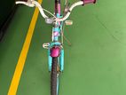 Indiana 20-Inch Kids Bicycle