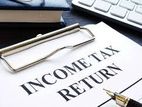 Individual Company Tax Return Filing