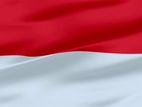 Indonesia Visa Consultants