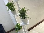 Indoor Plant Stand