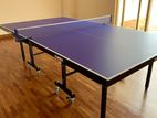 Indoor Table Tennis