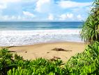 Induruwa : 58p Hotel land for sale facing to Beach