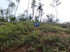 ඉංගිරිය-හල්වතුර ප්‍රදේශයේ ඉඩමක් ව්කිණීමට ඇත