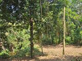 ඉංගිරිය – හඳපාන්ගොඩින් පර්චස් 24ක අගනා නේවාසික ඉඩම