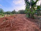 ඉංගිරිය තානායම් පෙදෙසේ පර්.96.5ක ඉඩම විකිණීමට