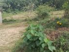 Ingiriya - Handapangoda 82+ Perches of Land for Sale