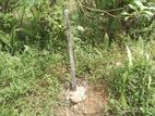 Ingiriya - Handapangoda 82+ Perches of Land for Sale