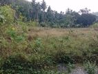Ingiriya - Handapangoda 82+ Perches of Land for Sale