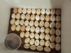 Eggs Incubator