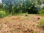 ( INS-117) Valuable Residential Land Sale in Nawalapitiya