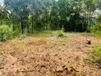 (INS-117) Valuable Residential Land Sale in Nawalapitiya