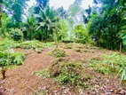 ( INS-173) Valuable Residential Land Sale in Padukka