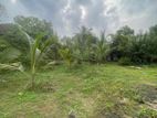 ( INS-285) Valuable Residential Land Sale in Homagama