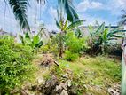 ( INS-362) Valuable Residential Bare Land Sale in Homagama