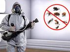 Insect And Termite Control Treatments