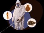 Insect Control And Termite Treatments