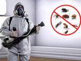 Insect Control And Termite Treatments