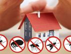 Insect Control Treatments