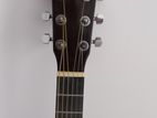 Acoustic Guitar