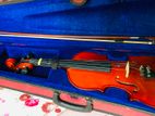 Violin