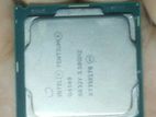 Intel Pentium Gold Processor