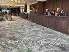 Interior Flooring Carpeting Service