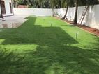 Interlock Grass Paving