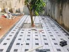 Interlock Blocks Paving Service