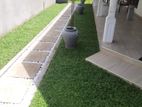 Interlock Blocks and Malaysian Grass