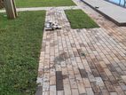 Interlock Blocks Paving Service