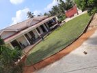 Interlock Bricks and Malaysian Grass Carpet