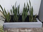 Interlock Bricks with Malaysian Grass Paving